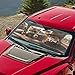 Qpednta Fashion Cat Car Windshield Sun Shade Foldable Automotive Interior Accessories for Protection Auto Sun Heat and UV Rays Blocker Fit Car Front Window for Trucks SUV Van