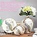 NEWQZ Decorative Vase Set of 3 for Living Room, Ceramic Vases with Peacock Decor