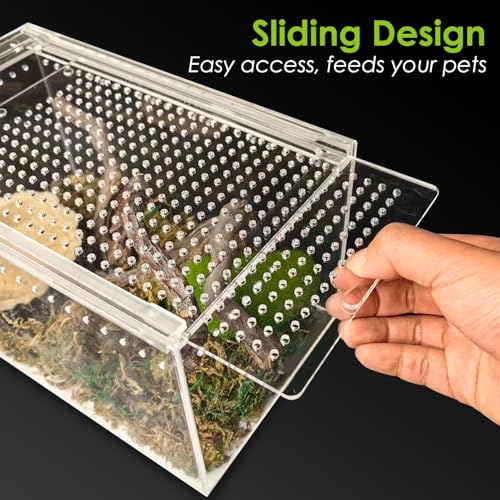 Apatal KA012 Acrylic Reptile Terrarium Enclosure 9.8 Inch X 5.9 Inch X 5.9 Inch Magnetic Tarantula Breeding Box Transparent Insect Habitat thumb #3