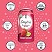 Daytrip Organic Sparkling Prebiotic Soda, Low Sugar Soda and Low Calorie Healthy Soda Alternative, Prebiotic Drink for Gut Health Drink and Digestion, Refreshing Functional Beverage with Plant-Based Fiber, 12-Pack - Berry Citrus