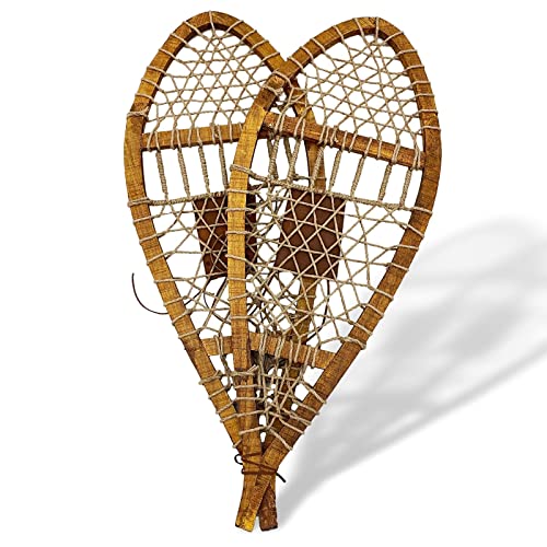 Texas Instruments Baiiplus Calcolatrice Finanziaria Avanzata - Per Studenti E Professionisti - Foto 4