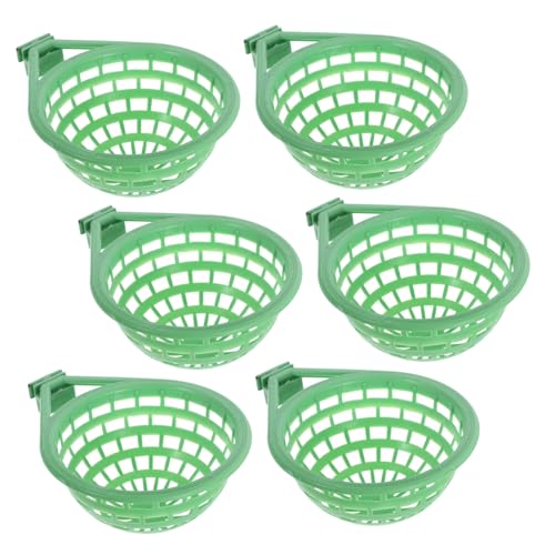 Totority 6  z   ʊ p   ɐB      ɐB {E    oXPbg p ɐB   }bg Cg O[