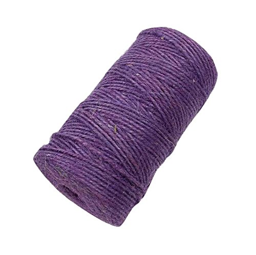 PuLAif Corda for Bondage, Corda da Giardino, Confezione Colorata da 2 mm, Parete Fotografica da 328 Piedi, Bottiglia Decorativa in Corda di Canapa-P1