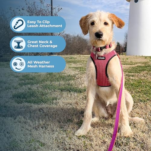 Image of Voyager Step-in Air Dog Harness - All Weather Mesh Step in Vest Harness for Small and Medium Dogs by Best Pet Supplies - Fuchsia (2-Tone), XL
