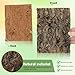 Toddmomy Natural Cork Bark for Reptile Terrarium Decor - 2 Pieces Tree Bark Hideouts for Bearded Dragon Lizard Chameleon Habitat - Bioactive Wall Background 7.68X5.83 Inches