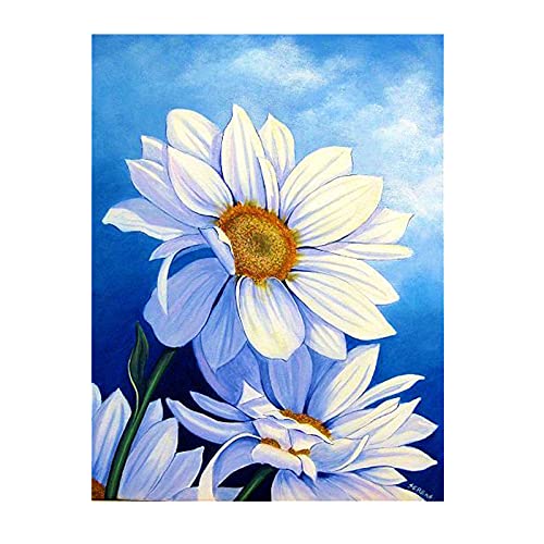 Ginkko Flower Series Paint by Numbers for Adults&Kids Beginners Easy Acrylic on Canvas 16 W x 20 L with Paints and Brushes,Gift Package-Daisy(Without Frame)