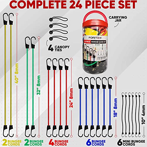 FORTEM Bungee Cords with Hooks, Bungie Cords Multi Pack, Canopy Ties, Ball Bungees, Plastic Coated Metal Hooks (Pack of 24)