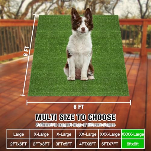 Image of GLOBREEN Large Artificial Grass Outdoor for Dogs - 6 FT X 6 FT Fake Grass for Pets Potty Training - Turf Rug Roll for Kennel Playpen Whelping