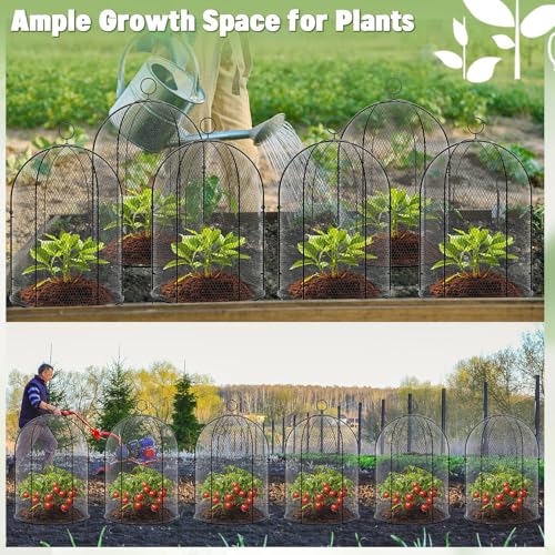 Novabright 4 Pack Garden Cloches for Plants 12" x 16" with Stakes & Zip Ties, Plant Covers from Animals Large Metal Mesh Chicken Wire Cloche Plant Protector Cage for Vegetable Garden Outdoor (Black) by Novabright - Image 7