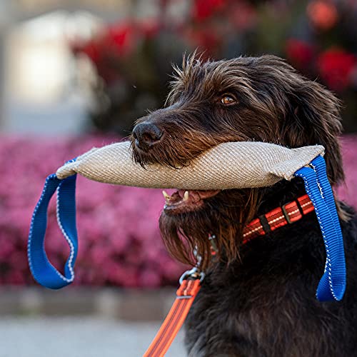 Sprenger Beisswurst für Hunde I sehr Robustes Hundespielzeug aus langlebiger Jute I Tauziehen und Zerrspiele für große Hunde, Bringsel mit 2 Handschlaufen Größe L (38 x 10 cm)