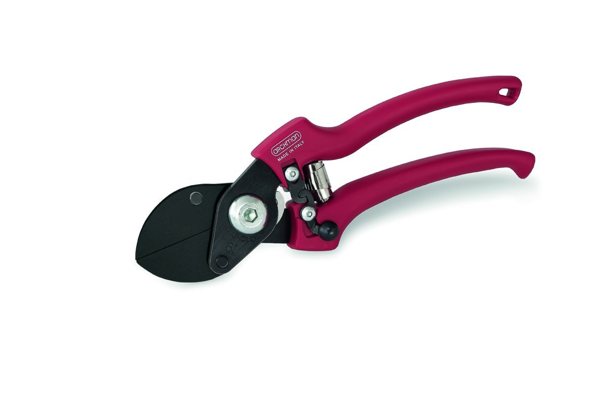Archman 223 Forbice Doppio-Taglio, Lame Teflonate Intercambiabili, 21 cm