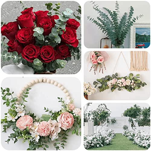 Dried Preserved Eucalyptus For Shower Bundle - 100% Natural 14 Pcs Real Eucalyptus Stem, 17" Fresh Hanging Shower Plant Bouquets, Flower Vase Arrangements, Greenery Wedding Home Decor #TOP5
