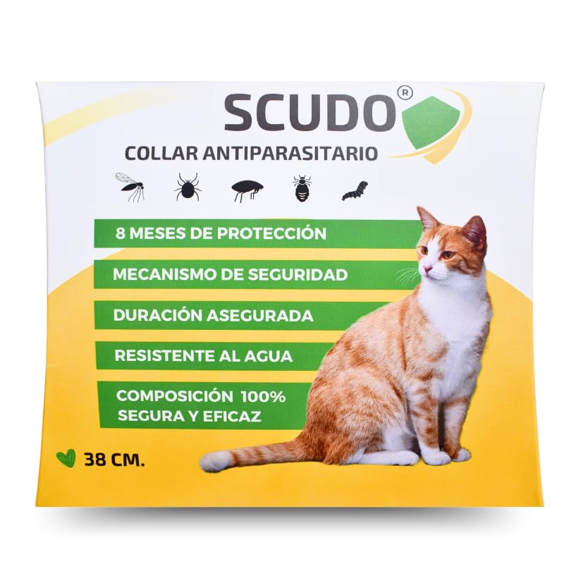 Scudo Collar antipulgas para Gatos, Mecanismo de Seguridad Evita ahogamiento, 8 Meses de Protección Realmente EFICAZ y Seguro, Collar Antipulgas Garrapatas Piojos, antiparasitario Gatos (38 CM. Gris)