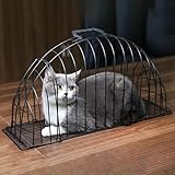 Zoom IMG-2 gabbie per gatti gabbia antimuffa Zoom IMG-2 gabbie per gatti gabbia antimuffa