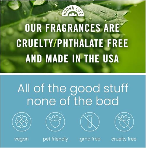Image of HoogaLife Car Air Freshener Diffuser 2 Pack Hanging Air Freshener Diffuser - Forest Pine Fragrance Oil Air D iffuser for Car, 45+ Days Long Lasting Fragrance Made in USA (F13)