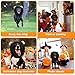 Vivifying Löwenmähne für Hunde, anpassbar Hund Halloween Kostüme Löwenmähne Perücke mit Schwanz für mittlere und große Hund verkleiden (Schwarz)
