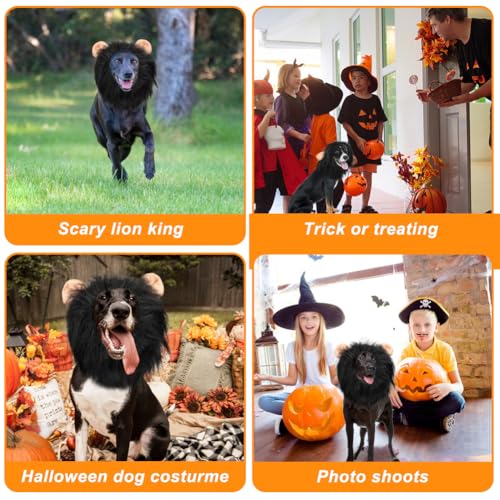 Vivifying Löwenmähne für Hunde, anpassbar Hund Halloween Kostüme Löwenmähne Perücke mit Schwanz für mittlere und große Hund verkleiden (Schwarz)