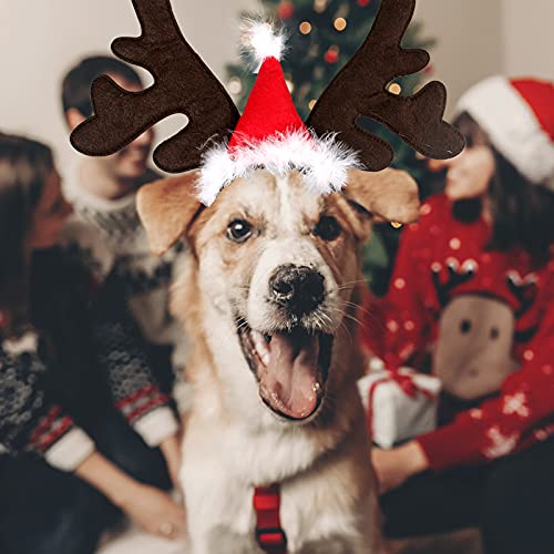 Disfraz Navideño para Perro con Cuernos de Reno Ajustable miniatura 4