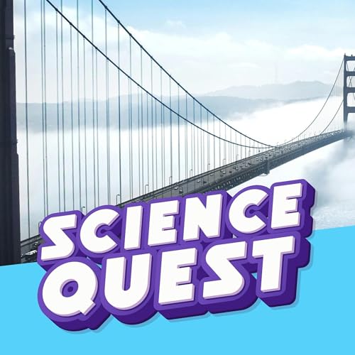Why Bridges Don&rsquo;t Break: The Physics of Super-Structures 🌉💪