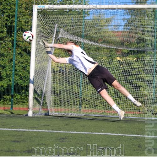 『Der Pokal in meiner Hand』のカバーアート