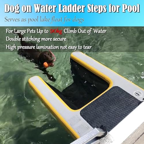Rampe d'eau gonflable pour chiens pour sortir facile de la piscine