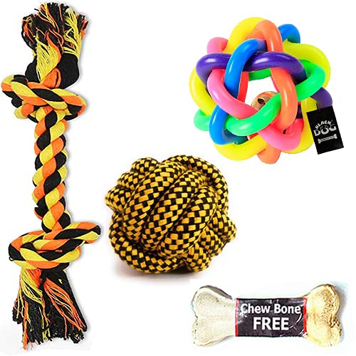 BLACKDOG Toys for Puppies Chewable Rope Teething Playing Interactive Toys Two Knot Rope Toys Cotton Rope Ball Colourful Rainbow Ball Aggressive Puppies Toys 4 in 1 Combo (Buy One Get one Chew Bone)