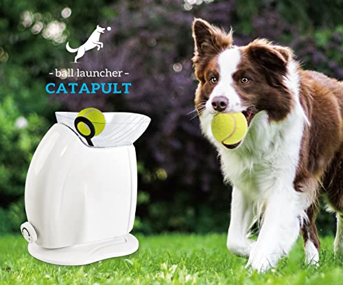 Interactive Ball Thrower for Dogs