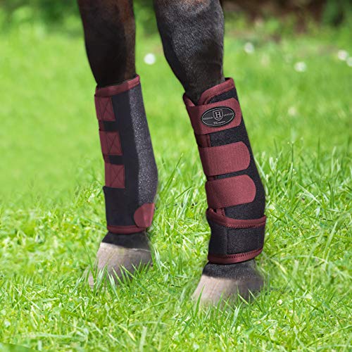 Harrison Howard Carenetic - Protectores para las patas del caballo (negro mate/burdeos)