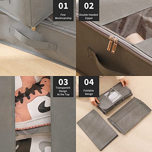 Cynamus Contenitore Sottoletto Pieghevole