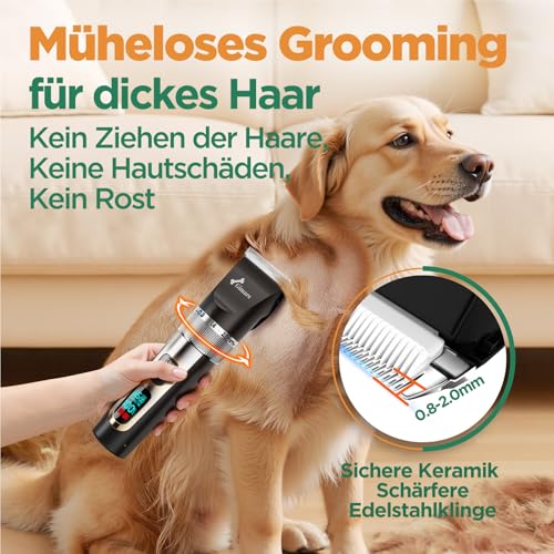 Gimars 4-in-1 Hundeschermaschine mit Hunde Trimmer, 7000 U/min Leise Hunde Schermaschinen Set, USB Aufladbare kabellose Tierhaarschneidemaschine, Schermaschine Katze Hunderasierer für dichtes Fell