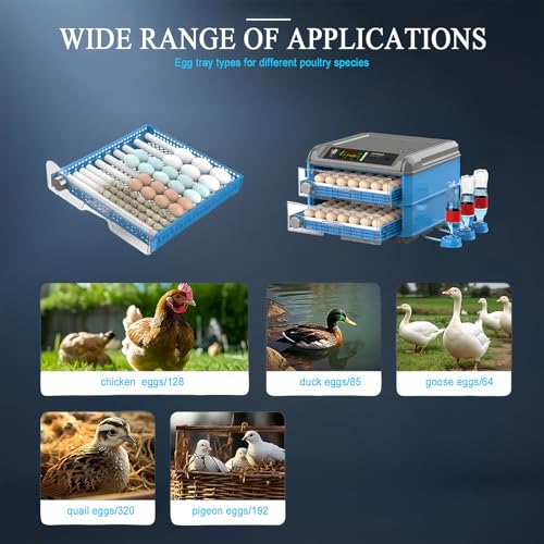 Incubadora digital de huevos totalmente automática con control de temperatura para pollos, patos, gansos y más, ideal para incubar aves de corral