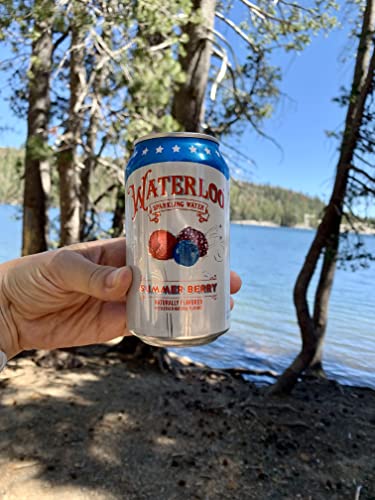 Image of Waterloo Sparkling Water - Summer Berry - 12 fl oz - 24-Pack - Carbonated Water with a Refreshing Taste - Whole30 Approved and Zero Calories