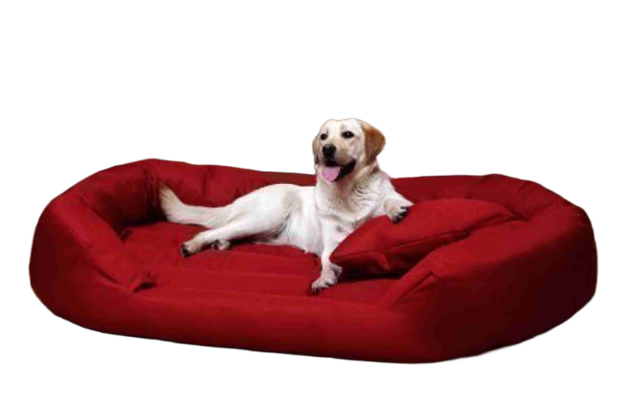 See full amazon price history chart for LexCouch Red Washable Dog/cat Bed with Pillow for Small | Medium | Large |Extra Large | XXL | XXXL | 4XL Size Dogs | Cats | Puppy | pet | Rabbit | Persian cat | (4XL) LexCouch Red Washable Dog/cat Bed with Pillow for Small | Medium | Large |Extra Large | XXL | XXXL | 4XL Size Dogs | Cats | Puppy | pet | Rabbit | Persian cat | (4XL) (B0D92LNKMN) Amazon Price History, Amazon Price Tracker