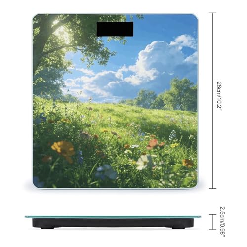 Báscula Digital de Baño Meadow Smart, Precisa y Durable miniatura 2