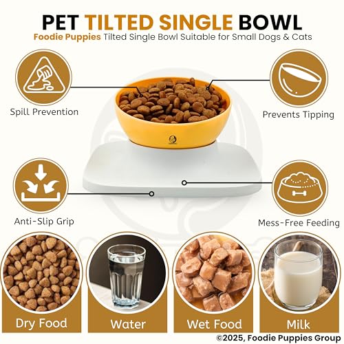 Image of Foodie Puppies Cat Food Bowl with Stand - (Orange, 500ml) Tilted Bowl Food and Water Drinking Feeder Bowl with Non-Skid Base and Easy-to-Clean Design | Suitable for Cats, Puppies and Small Dogs