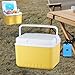Stgfyxgs Insulated Ice Cooler Camping Case Ice Chest Box Organizer for Fishing Camping Barbecue, 5L