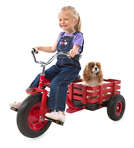 valley all terrain tricycle with wagon