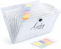 Pasta Sanfonada A4 Transparente Com 12 Divisórias e Etiquetas, Organizador de Documentos Expansível, Pasta Organizadora Leve e Resistente Para Escola, Escritório e Casa