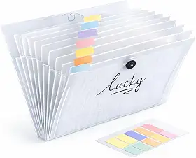 Pasta Sanfonada A4 Transparente Com 12 Divisórias e Etiquetas, Organizador de Documentos Expansível, Pasta Organizadora Leve e Resistente Para Escola, Escritório e Casa