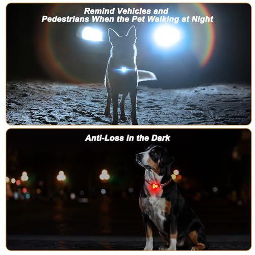 AUAUY 5PCS Dog Collar Light, Safety LED-Flashing Light for Dogs Cats, 3 Modes Dog Lights, Clip on Dog Collar Lights - Image 4