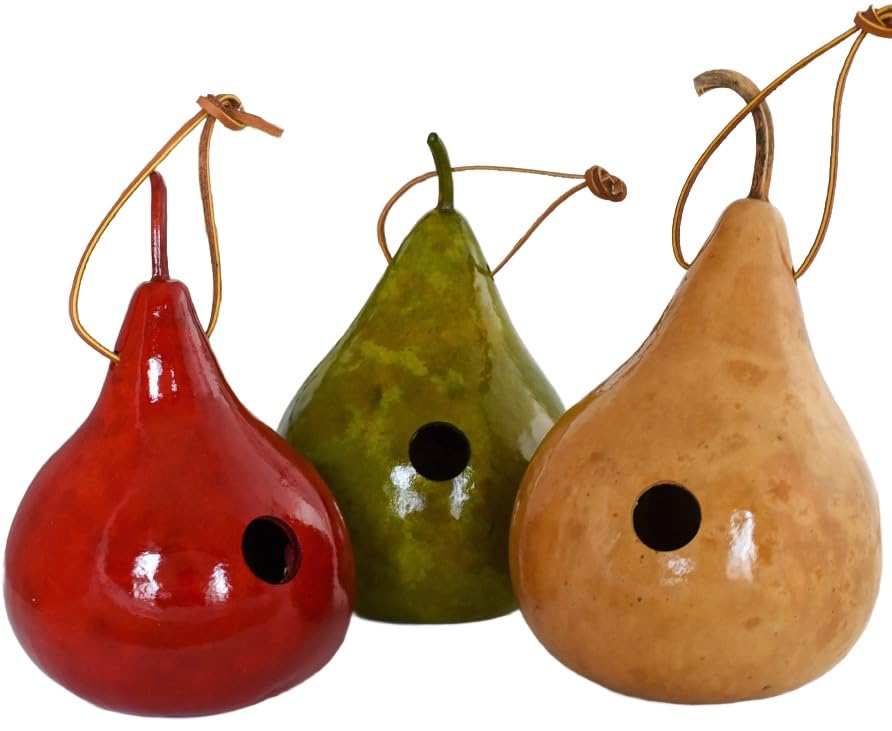 Gourd Wren House - Small - Set of 3 - Bird Lovers Gift