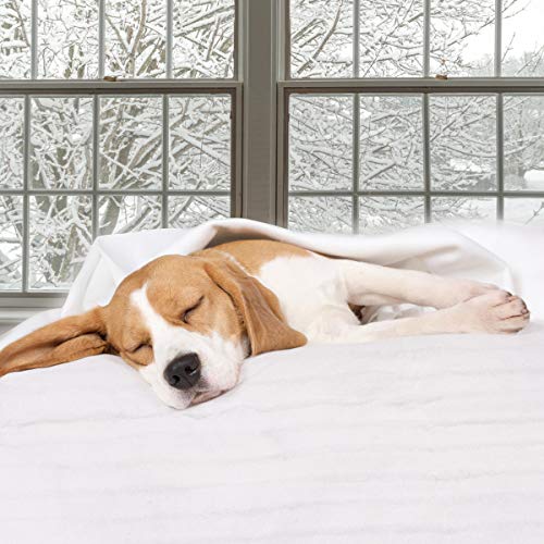 Image of Giantex Standard Massage Table Warmer, Heated Mattress Pad, Spa Table Heating Pad with Three Heat Settings, Auto Overheat Protection, Fixed Elastic Bands, Portable 71x30 Inch Electric Table Warmers
