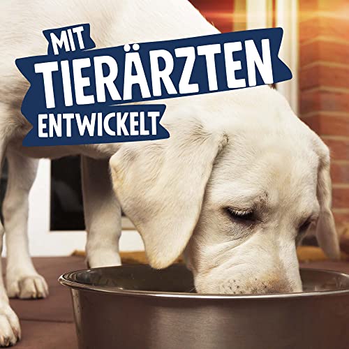 Pets Deli Nassfutter für Hunde mit Rind, Brokkoli, Papaya, Amaranth & Basilikum ohne Zucker und Gluten 6 x 400g
