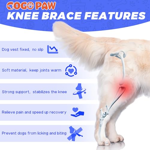 Image of Dog Knee Brace for Back Leg Fit Extra Large Dogs Metal Splint Hinged Flexible Support Dog ACL Hip Brace with 2 Metal Strips for Hip Dysplasia, CCL, Ligament Injuries & Osteoarthritis (XL)