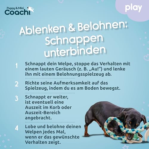 Coachi Puppy & Mini Tuggi Tug Hundespielzeug, Ideal für Zerrspiele & Spaß