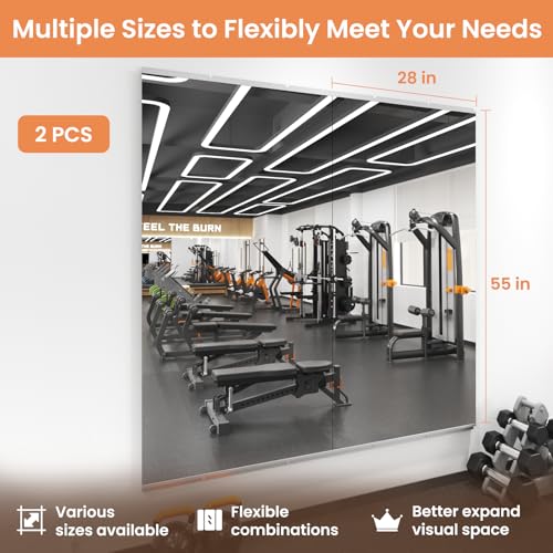 Image of LOAAO Home Gym Mirror 55 inchx28 inch, 2 PCS