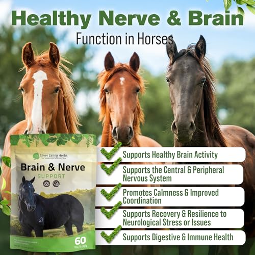 Image of Silver Lining Herbs Brain & Nerve Support Supplement for Horses - Horse Supplements for Focus, Mental Health & Brain Support - Contains Herbal Blend of Ginkgo, Gotu Kola, & More - 1 lb 60-Day Supply