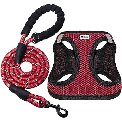 Maiiu Dog Harness and Leash Set, No Pull Adjustable Reflective Step-in Puppy Harness with Padded Air Mesh for Small Medium Dogs and Cats(M, Red) Cover