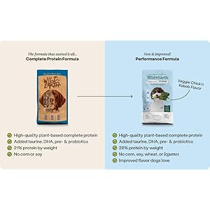 Wild earth vegan dry canine meals efficiency system | plant primarily based vegetarian kibble | wheat free allergen free veterinarian developed | veggie chickn kabob taste 18lb bag   cucciolini doodles