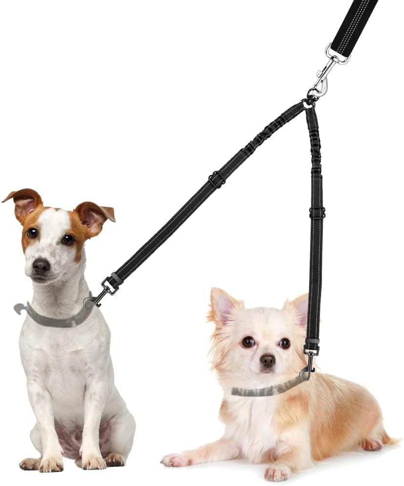 Sweetie Dog Lead Splitter Dual Shock Absorbing Bungee Double Leash